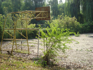 DSC09772